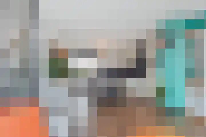 Berkelsezoom 40 Berkel en Rodenrijs thumbnail 21