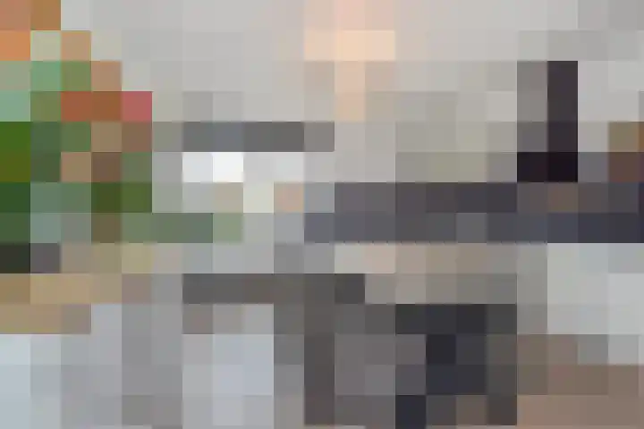 Berkelsezoom 40 Berkel en Rodenrijs thumbnail 23