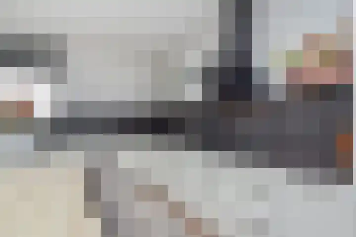 Berkelsezoom 40 Berkel en Rodenrijs thumbnail 24