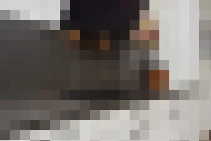 Berkelsezoom 40 Berkel en Rodenrijs thumbnail 25