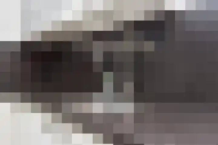 Berkelsezoom 40 Berkel en Rodenrijs thumbnail 26