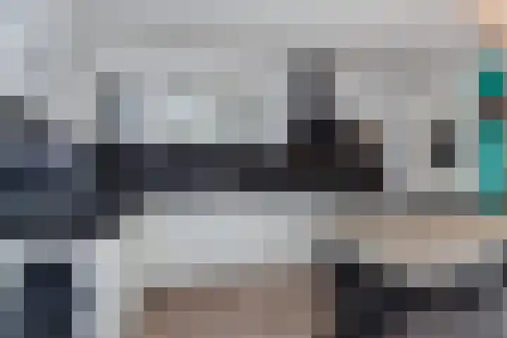 Berkelsezoom 40 Berkel en Rodenrijs thumbnail 27