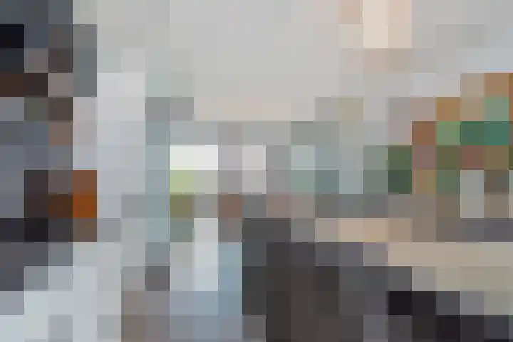 Berkelsezoom 40 Berkel en Rodenrijs thumbnail 28