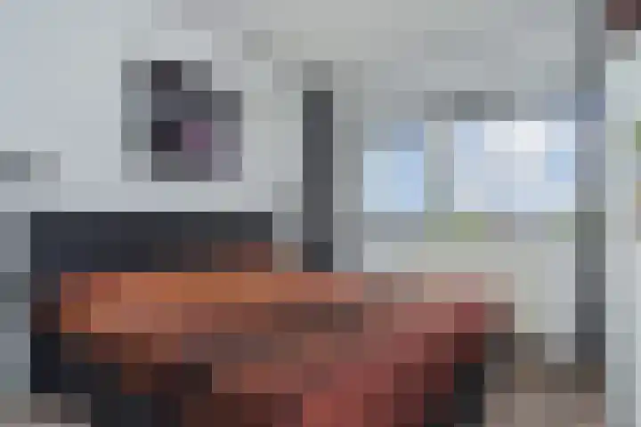 Berkelsezoom 40 Berkel en Rodenrijs thumbnail 35