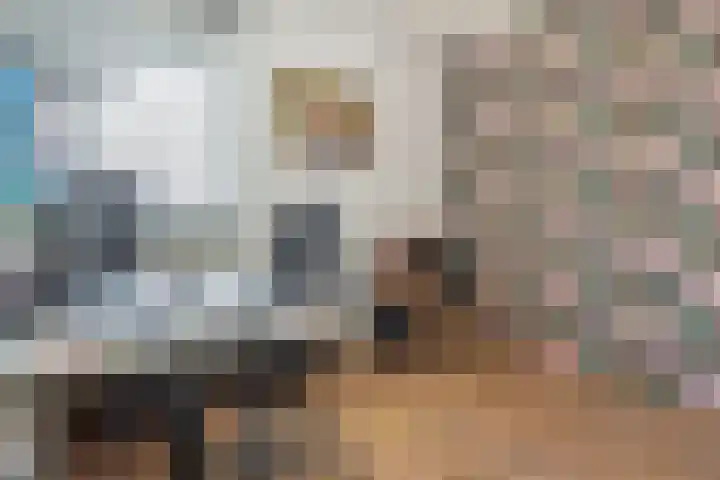 Berkelsezoom 40 Berkel en Rodenrijs thumbnail 37