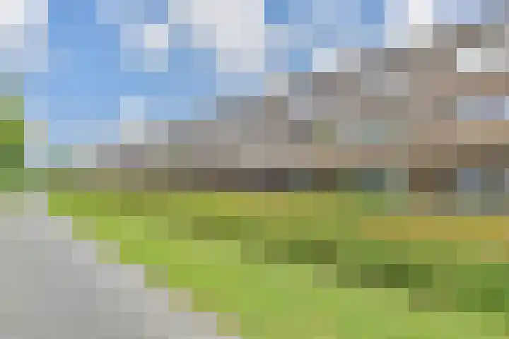 Berkelsezoom 40 Berkel en Rodenrijs thumbnail 43