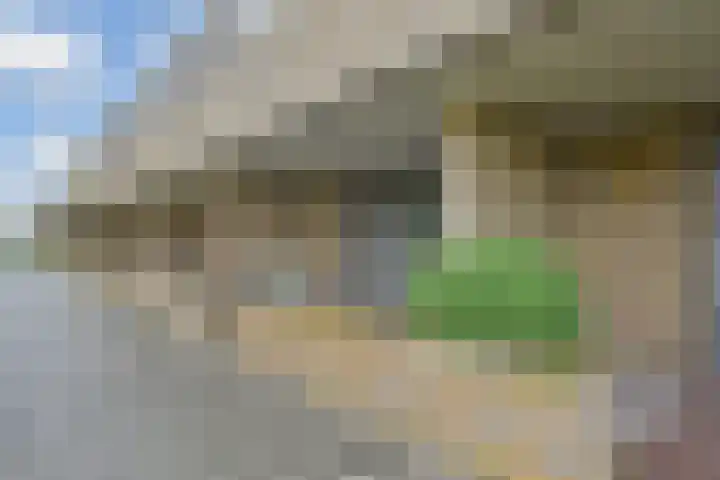 Berkelsezoom 40 Berkel en Rodenrijs thumbnail 5