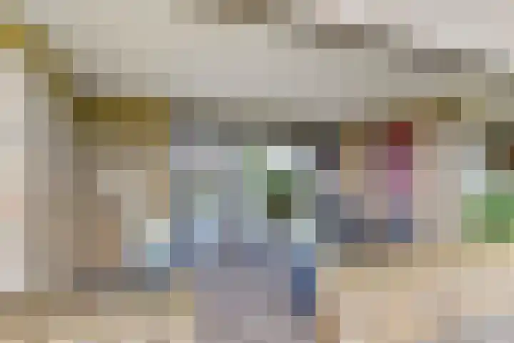 Berkelsezoom 40 Berkel en Rodenrijs thumbnail 6