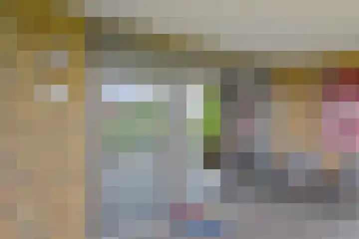 Berkelsezoom 40 Berkel en Rodenrijs thumbnail 7