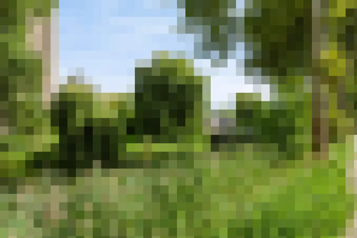 Berkelsingel 110 Zutphen thumbnail 18