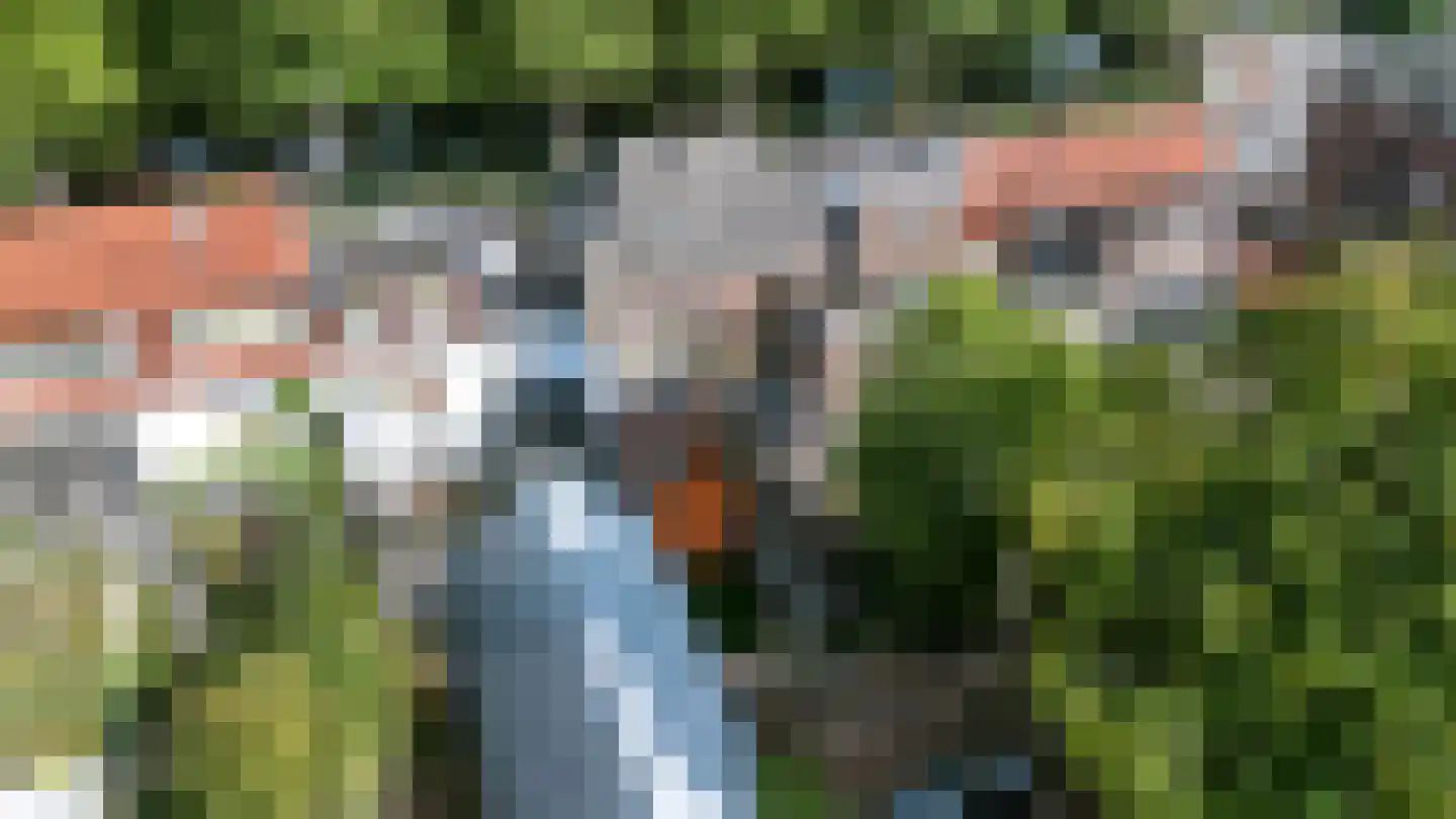 Berkelsingel 110 Zutphen thumbnail 20