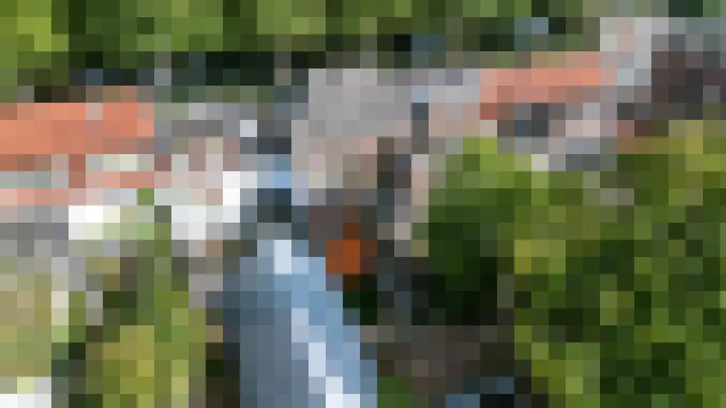 Berkelsingel 110 Zutphen thumbnail 21