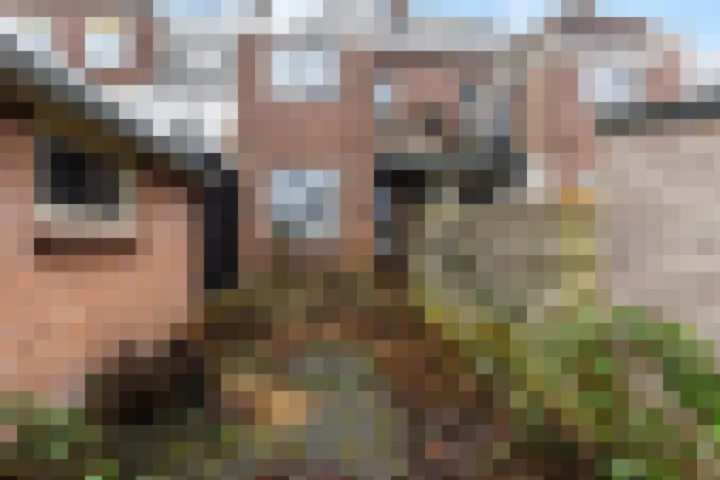 Berkelsingel 110 Zutphen thumbnail 22