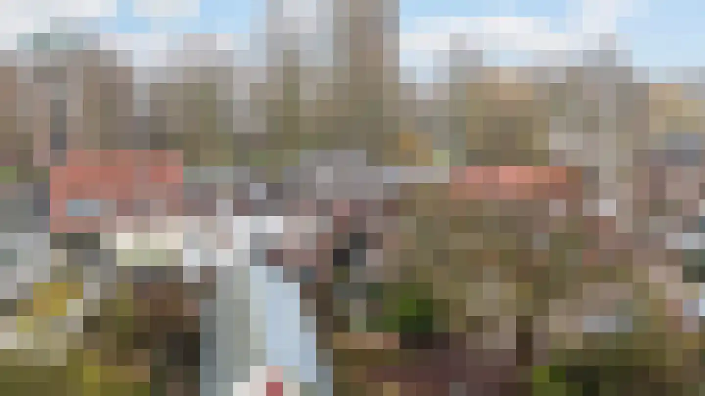 Berkelsingel 110 Zutphen thumbnail 41