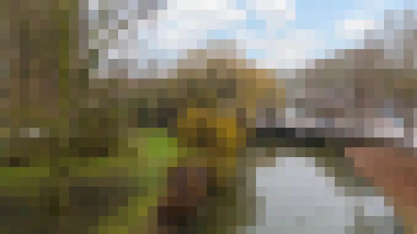 Berkelsingel 110 Zutphen thumbnail 43