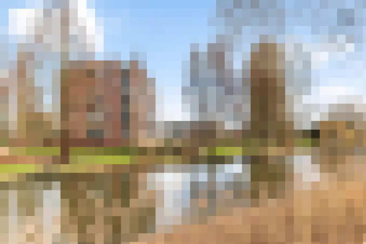 Berkelsingel 88 Zutphen thumbnail 26