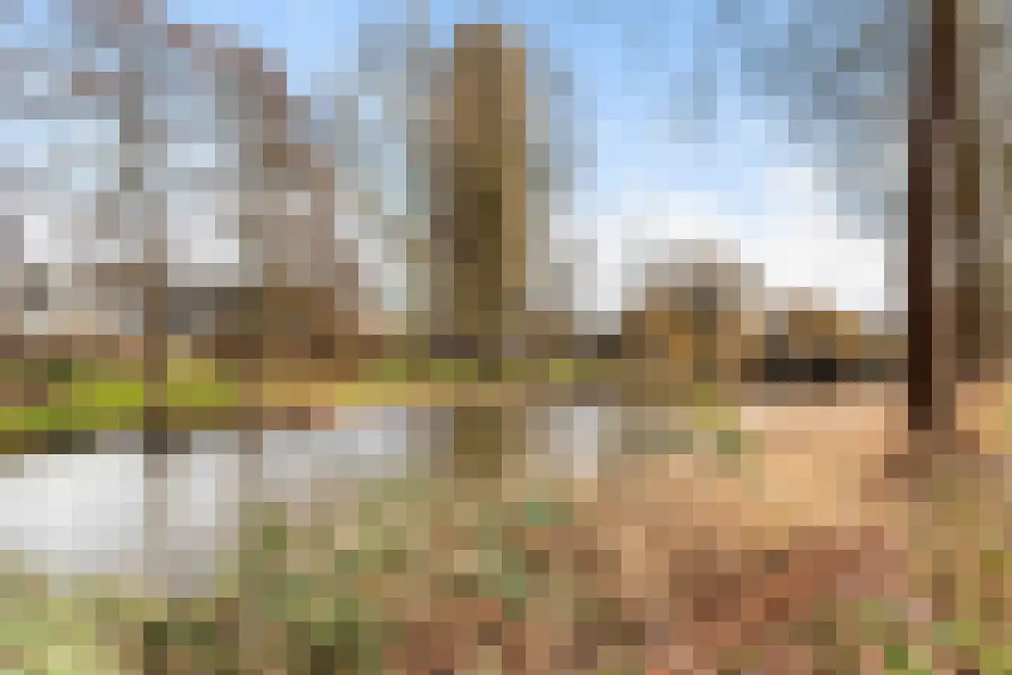 Berkelsingel 88 Zutphen thumbnail 27