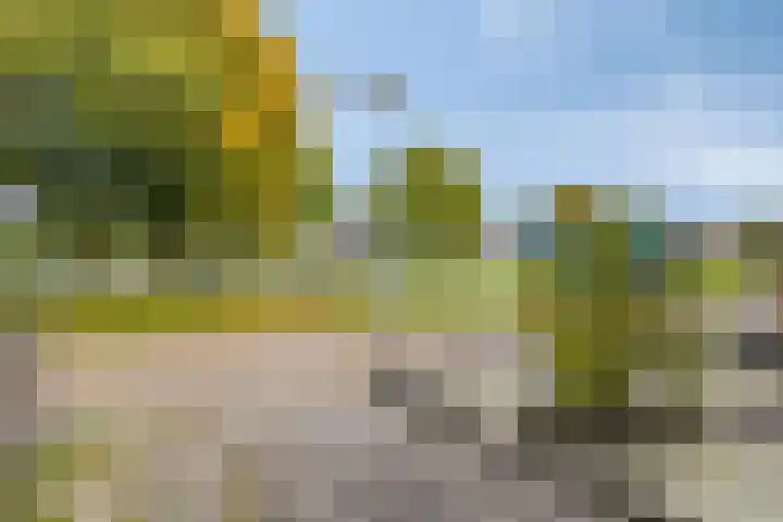 Berkelstraat 10 Winschoten thumbnail 8