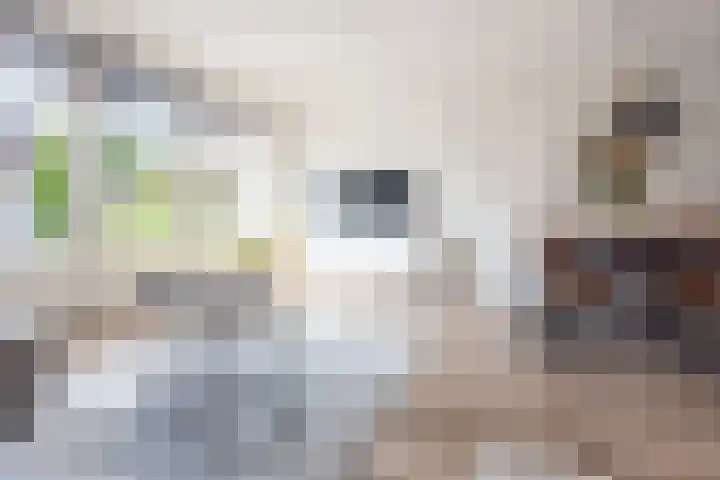 Berkelstraat 11 D Ulft thumbnail 12