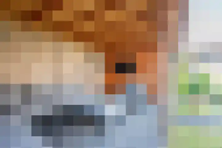 Berkelstraat 11 D Ulft thumbnail 31