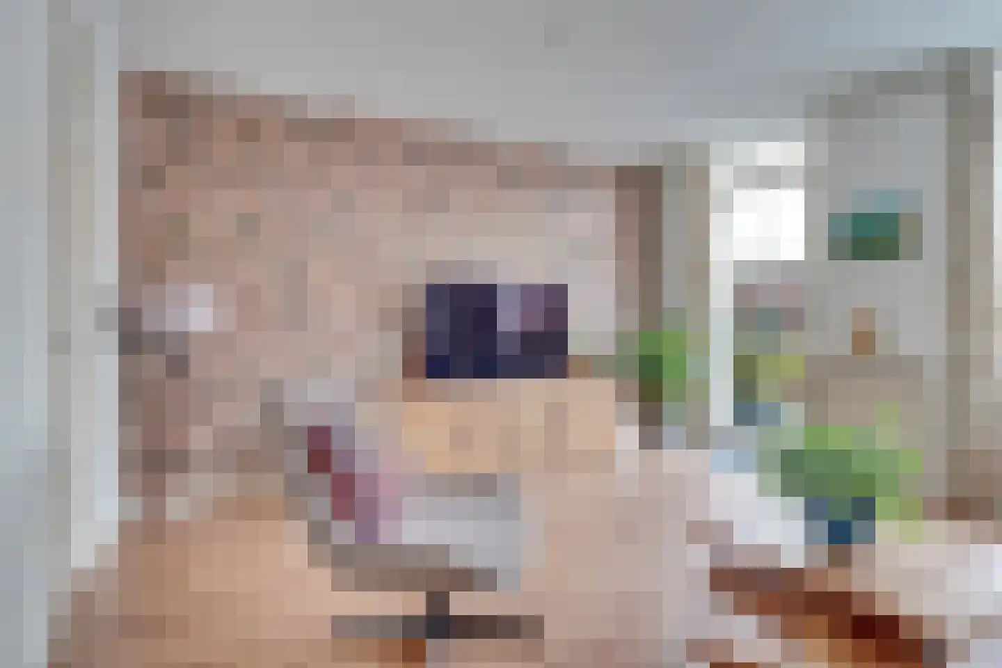 Berkelstraat 11 Nieuwegein thumbnail 5