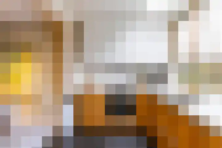 Berkelstraat 12 Groningen thumbnail 26