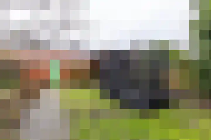 Berkelstraat 12 Groningen thumbnail 30