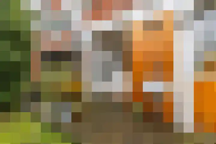 Berkelstraat 12 Groningen thumbnail 33