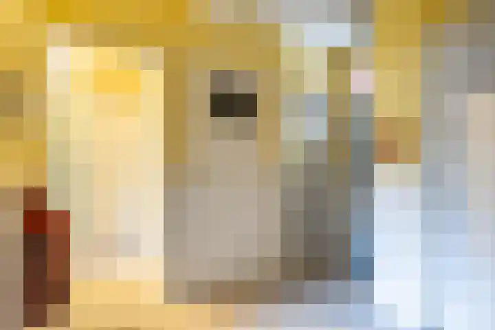Berkelstraat 12 Groningen thumbnail 8