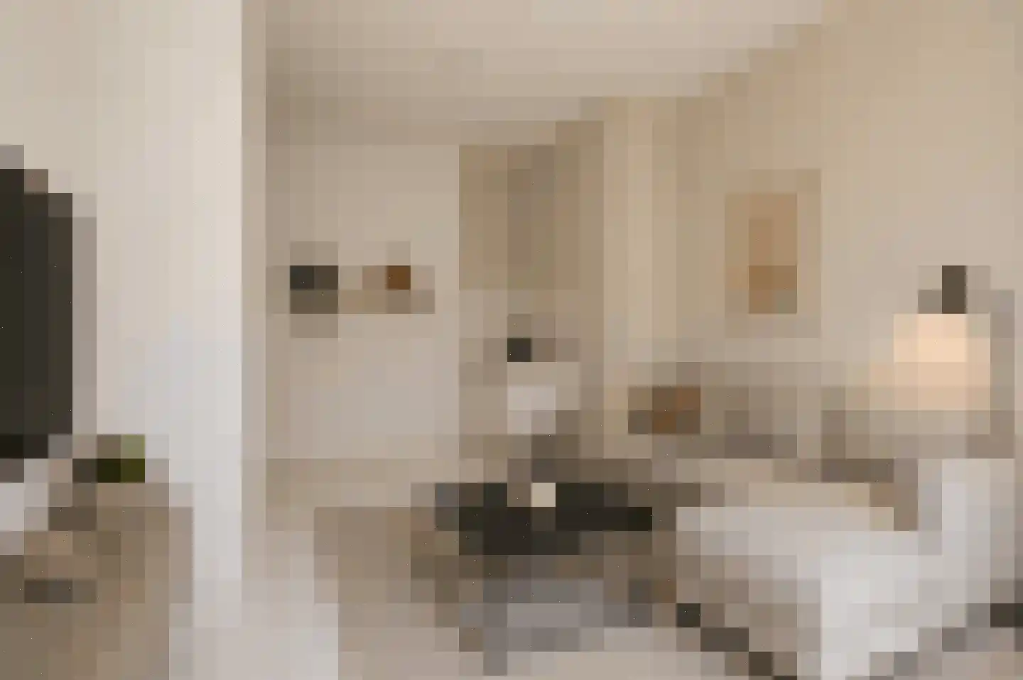 Berkelstraat 14 b Groningen thumbnail 12