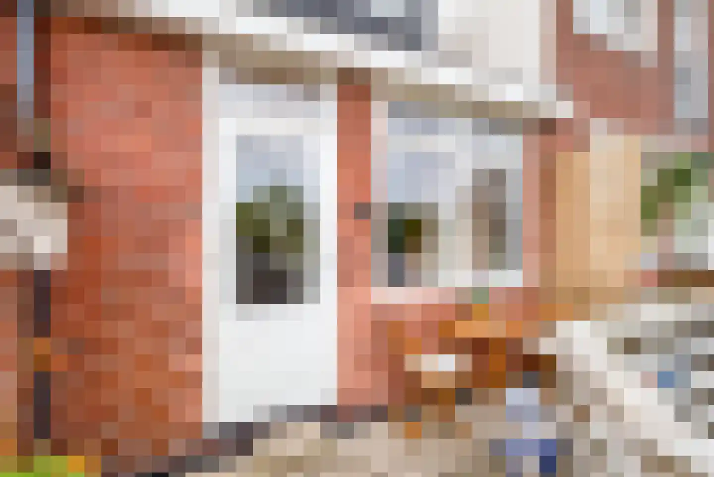 Berkelstraat 18 a Groningen thumbnail 30