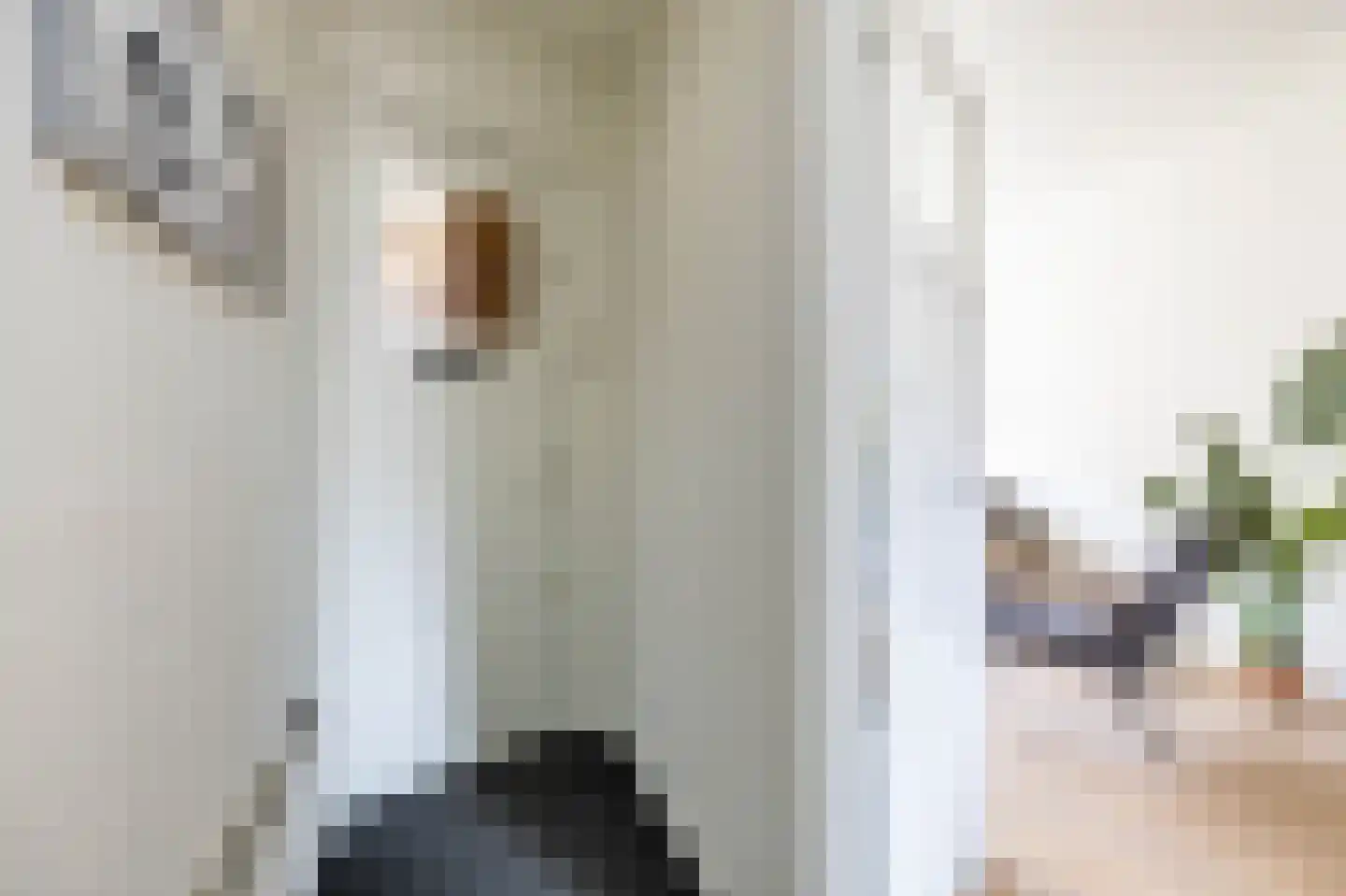Berkelstraat 21 b Groningen thumbnail 7