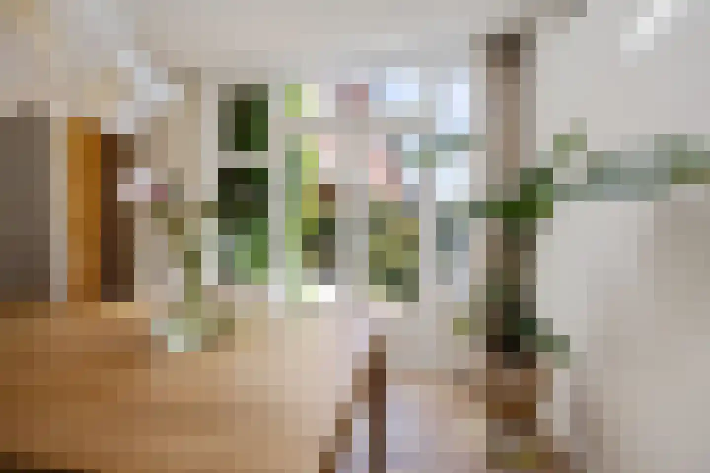 Berkelstraat 3 Groningen thumbnail 20