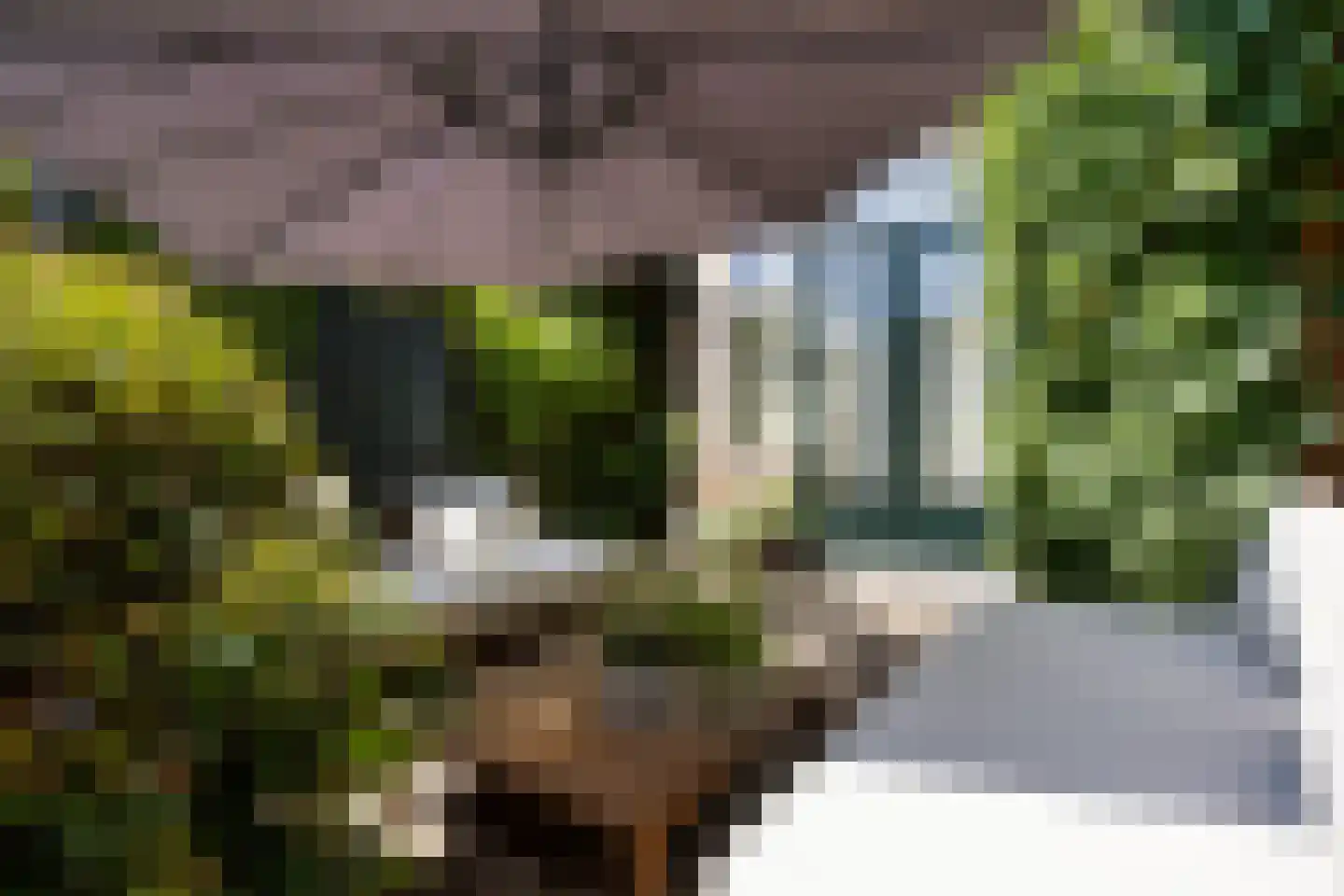 Berkelstraat 3 Groningen thumbnail 32