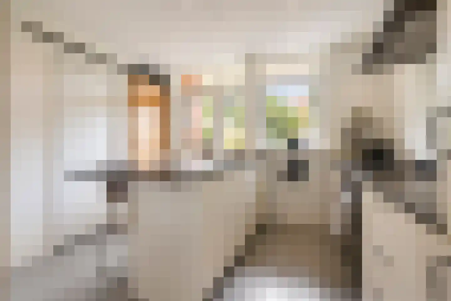 Berkelstraat 35 Groningen thumbnail 14