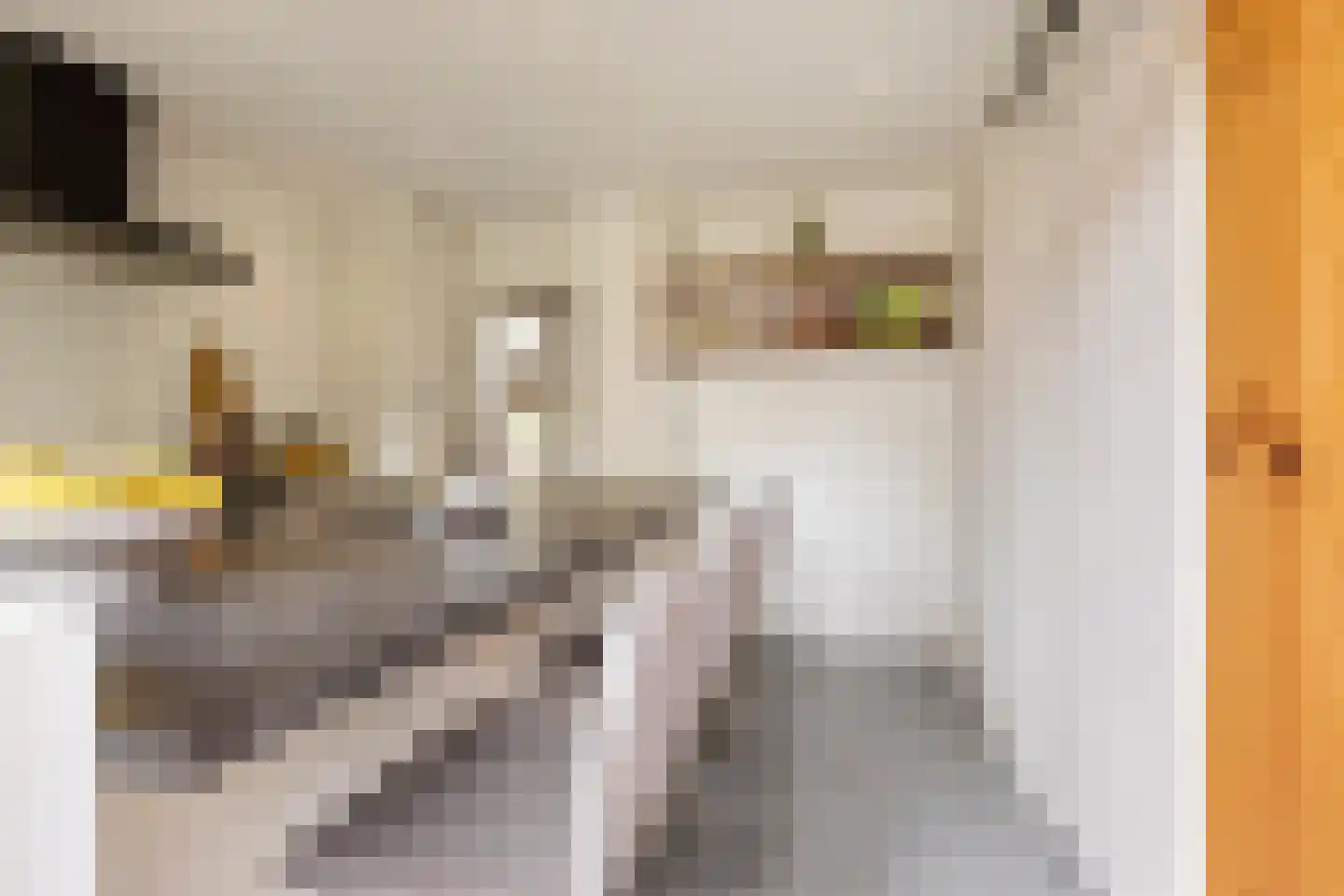 Berkelstraat 35 Groningen thumbnail 19