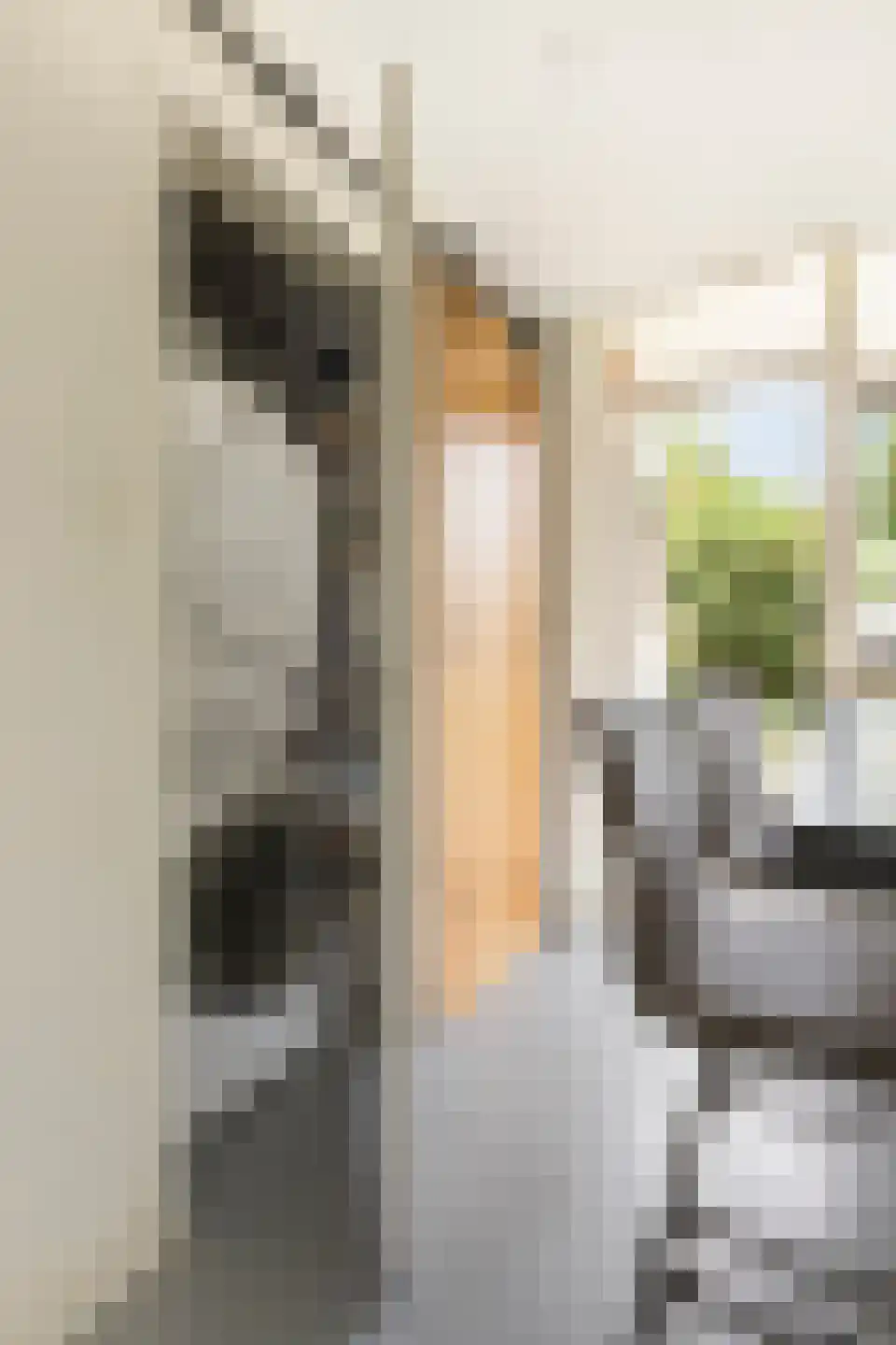 Berkelstraat 35 Groningen thumbnail 20