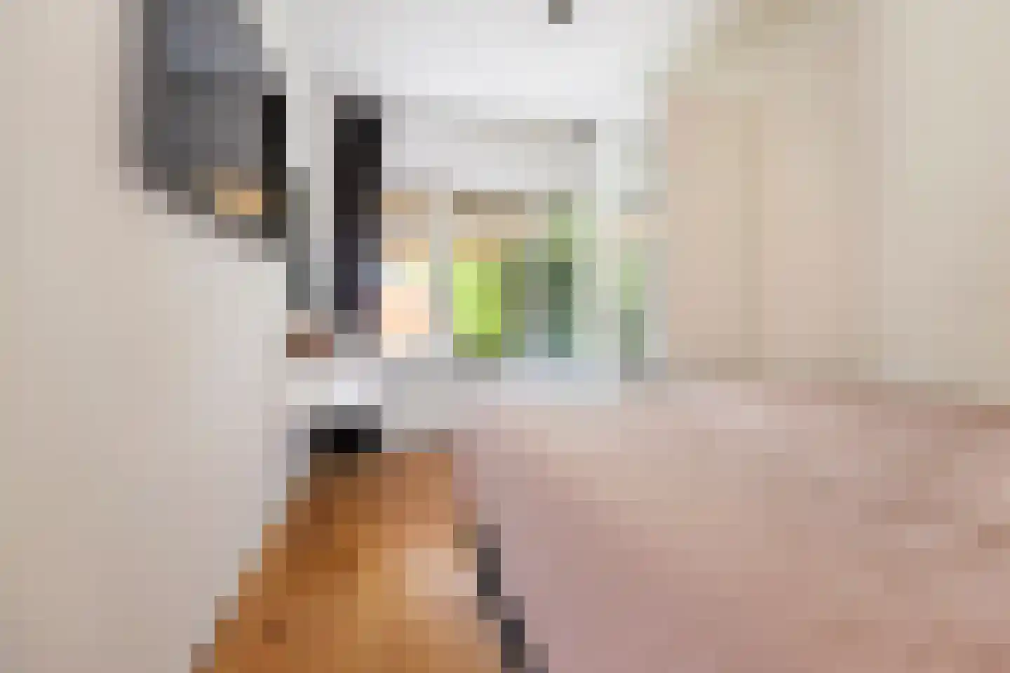 Berkelstraat 35 Groningen thumbnail 24