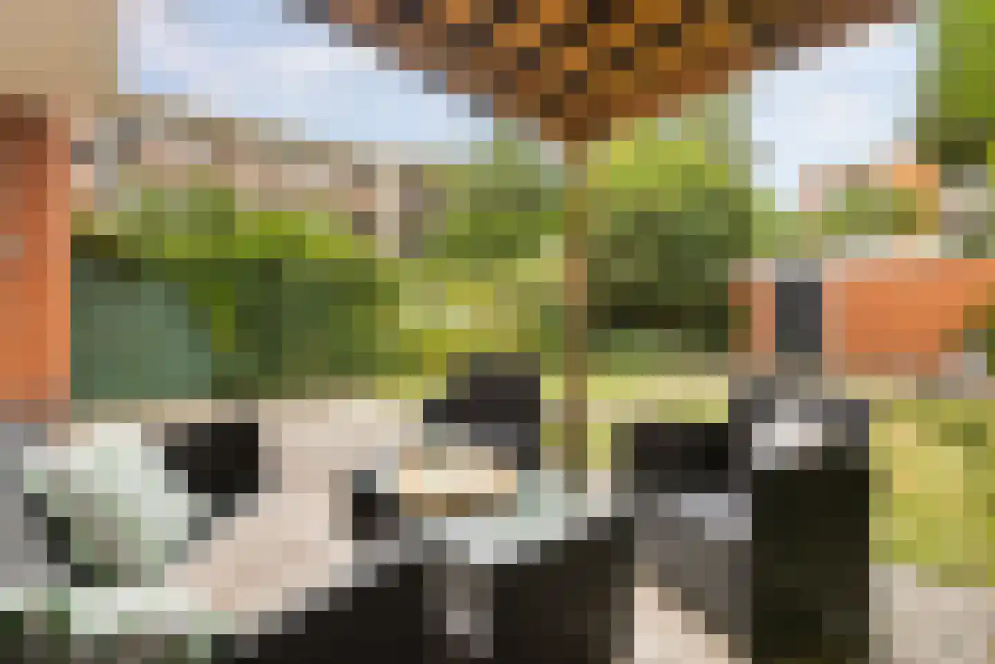 Berkelstraat 35 Groningen thumbnail 29
