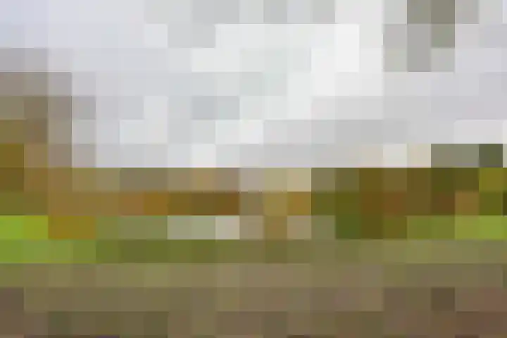 Berkelstraat 4 Almere thumbnail 56