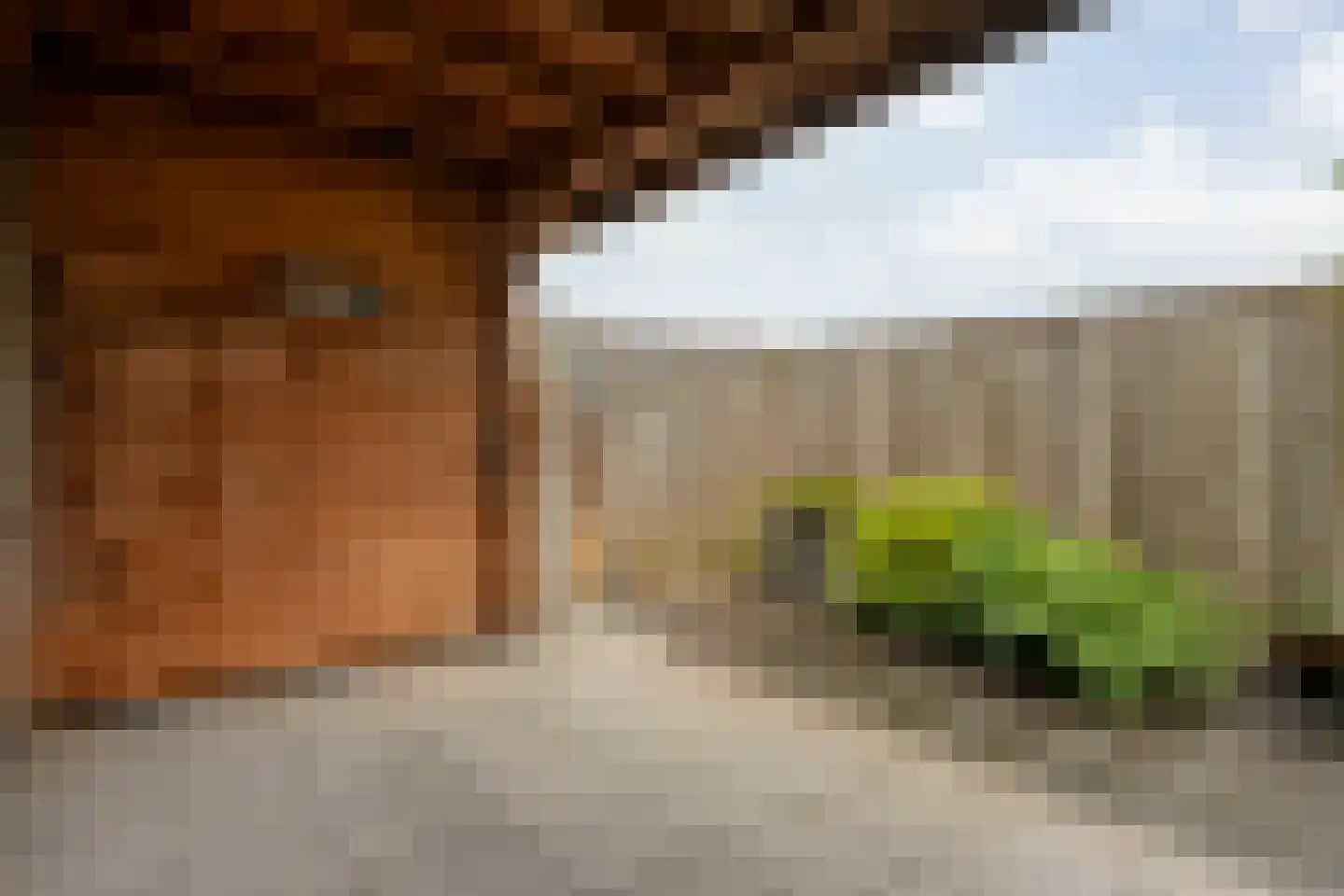 Berkelstraat 5 Nijverdal thumbnail 31