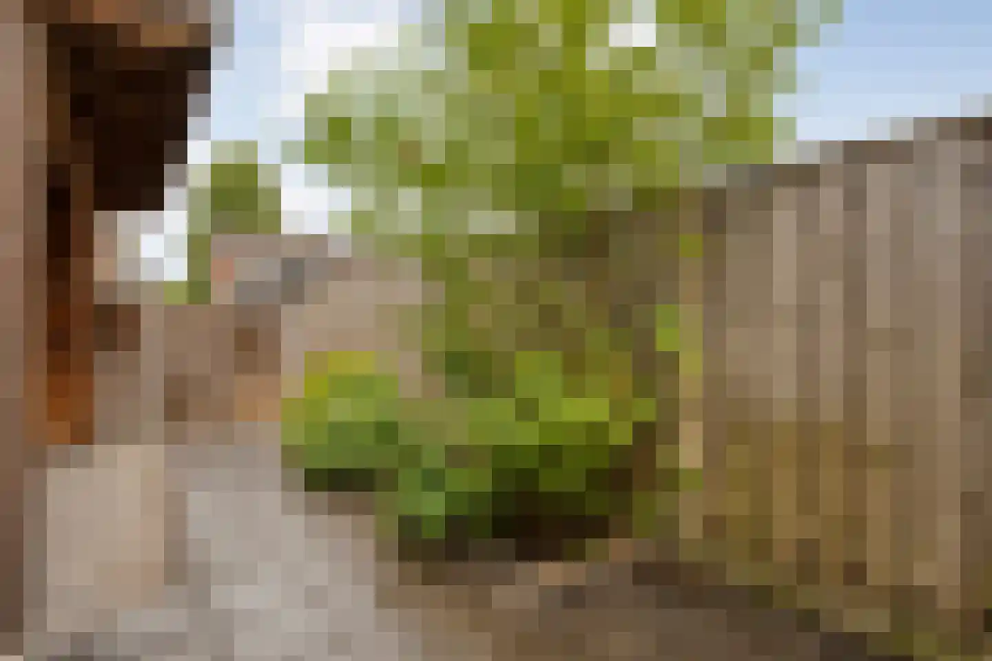 Berkelstraat 5 Nijverdal thumbnail 32