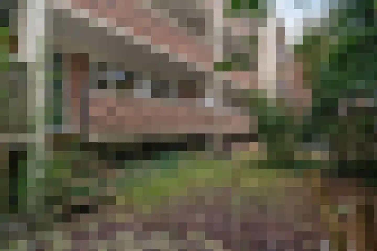 Berkelstraat 53 Groningen thumbnail 43