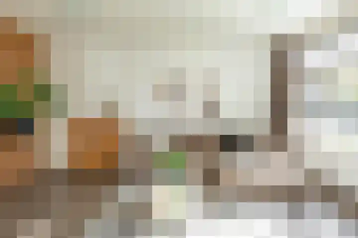 Berkelstraat 55 Groningen thumbnail 12