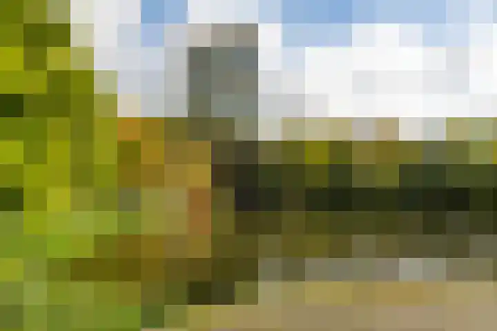 Berkelstraat 55 Groningen thumbnail 31
