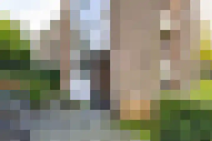 Berkelstraat 55 Groningen thumbnail 6