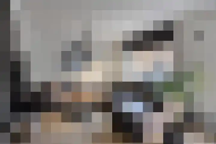 Berkelstraat 6 Helmond thumbnail 5