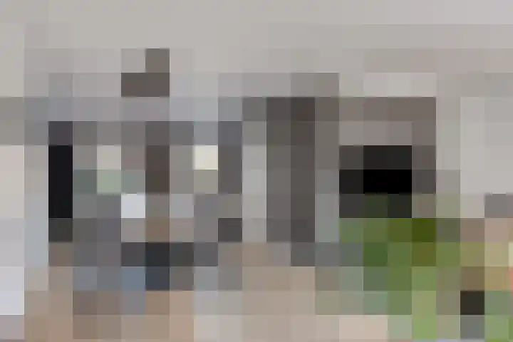 Berkelstraat 6 Helmond thumbnail 6