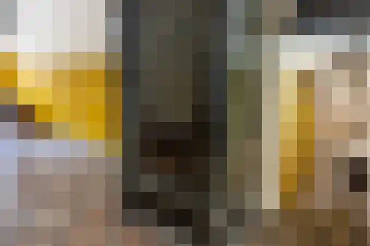 Berkelstraat 62 Utrecht thumbnail 7