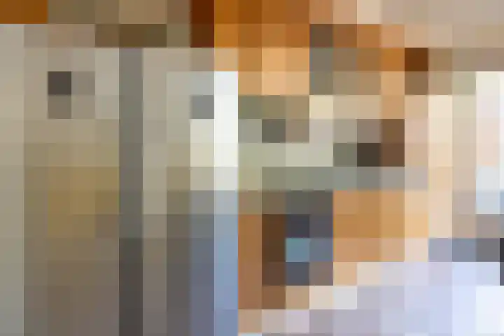 Berkelstraat 62 Utrecht thumbnail 8
